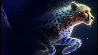 Репортаж Дата Саммита 2024 