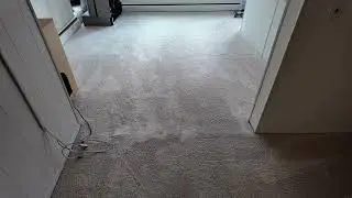Pure Surface Care | Quality Carpet Cleaning in Monmouth County NJ
