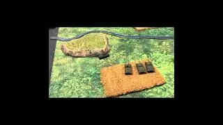 BATTLE REPORT Flames of War Soviets vs Germans TANKS!