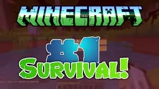 Minecraft Survival #1 Geil Akazienholz!!! *schleck* || StrangeBuddies