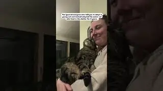 Why Adopting a Senior Cat Was the Perfect Choice for Me ❤️