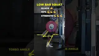 💪 3 MAIN SQUAT VARIATIONS 💪 (Read description) #shorts