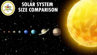 What is the Size Order of the Solar System? | Solar System Size Comparison