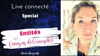 Entit&eacute;s et &eacute;nergies de l'invisible