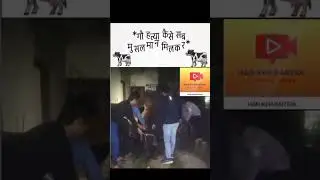 गौ माता की हत्या का प्रयास नहीं #news #ख़बर1इंडिया #bareilly #latestnews #इतिहासके10प्रश्र #har