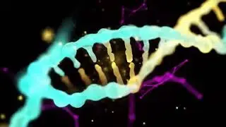 444Hz Quantum Calm Frequency Focus and Inner Peace Meditation for Mind Rebalance