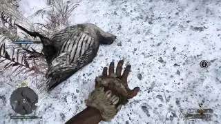FAR CRY PRIMAL: HOW/WHERE TO FIND FEATHERS