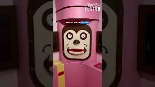 Museum of Ice Cream