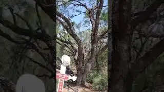 Remains found less than a mile from the spot Brandon lawson went missing. #missingperson #truecrime