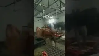 Up police training masti time || up police training dance