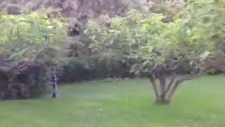 Casa Rural en Candeleda