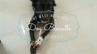 DIY Dog Biscuits