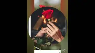 Happy Rose Day #🌹🌹GF bf couple😊😊 #love #song #trndind #short #viral #video #popular#trndind
