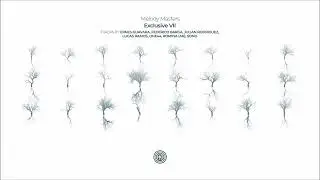 Federico Barga - Desert Nets (Original Mix)