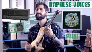 Impulse voices Cover (Neural DSP Plini)