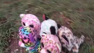 The betrayal part 1