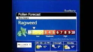 Прогноз пыльцы TWN &mdash; 24 июня 2012 г.