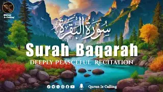 Surah Baqarah (Al-Baqarah) سورة البقرة | Deep Sleep Healing Heart Touching Quran Recitation