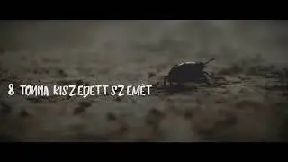 Pet Kupa 2017 Aftermovie (Trailer)