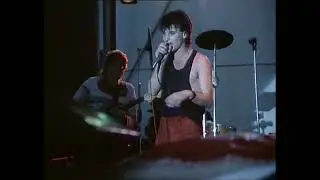 Dirk Zöllner - Chicoree