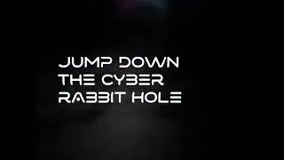 Cyber Rabbit IO
