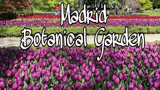 Madrid Botanical Garden