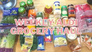 WEEKLY ALDI GROCERY HAUL | $54 FILL-IN HAUL | DISHING DELIGHTS