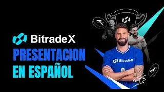 Bitradex Presentacion Espa&ntilde;ol Completa 2026