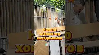 Что хорошего в кварцвиниле? #артпол #кварцвинил