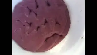 Part 2 of fix this gross slime 🤢🤮