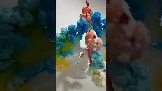 Queensland Museum Coral Reef Science Toy Review 🐟🐠🐡 #shorts #science #stem #toys #coral #crystal