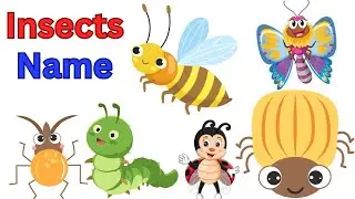 list of insects|insects| bugs| list of insect| bug names|ant| insects names| mosquito
