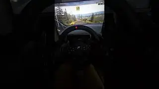 Let's goooo! Realistic SIMRIG POV | WRC Rally Finland | Hatanpaa #rally #simracing #pov #gaming #wrc