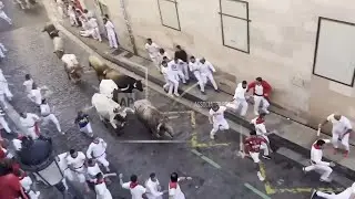 Daredevils run with charging bulls at Pamplona's famous San Ferm&iacute;n festival