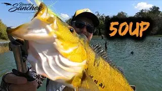 MELHOR QUE NUNCA!! MUITO PEIXE GRANDE NO LAGO DE ITAIPU!!