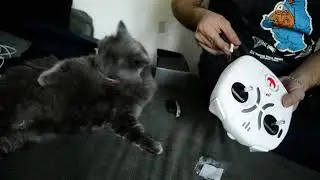 Poniendo pilas al control de la X - Wing  con Ginger (Gingi) Drone Star Wars