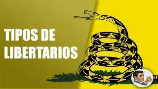 Tipos y Diferencias de Liberales y Libertarios