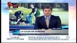 Cronica Carcotasilor 02.10.2013 (Balbe televizate)