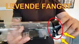 Levende fangst musefelle - slik fungerer den