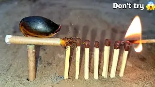 Sapota seeds 😱 Amazing Cracker experiment😜 Diwali cracker testing 2025 #crackers
