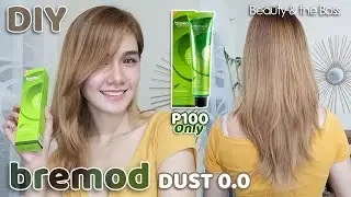 DIY TIPID HAIR COLOR | TIPS & TUTORIAL AT HOME | NO BLEACH | BREMOD DUST 0.0 | 100 Pesos Only