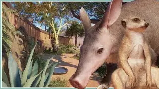 Место обитания сурикатов и трубкозубов! | Зоопарк Mesa Gardens | Франшиза Planet Zoo Let's Play
