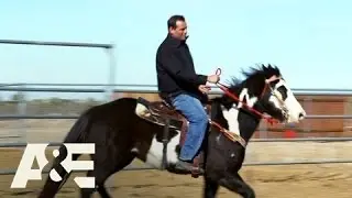 Barter Kings: Pony For His Daughter | A&E
