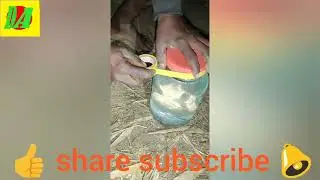 RP Water Pin