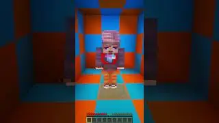 Minecraft Doors Lead to MrBeast, Diamond Tiger