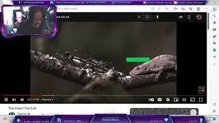 The Insect Tier List Reaction!