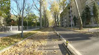 26.10.25 Воскресный Кишинёв. Велодорожки, листики