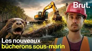 La face-cachée du projet Triton qui veut exploiter la forêt engloutie de Guyane