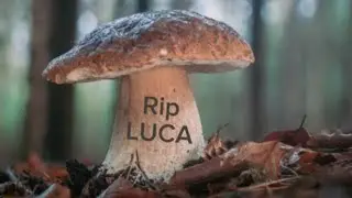 Peace of Life - Luca (art vid due to 150 subscribers)