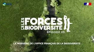 Les forces de la biodiversit&eacute; #5 : Pollution de l&rsquo;eau